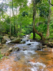 pang hai village, ban pang hai, baan pang hai, thep sadet, pang hai