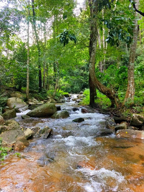 pang hai village, ban pang hai, baan pang hai, thep sadet, pang hai