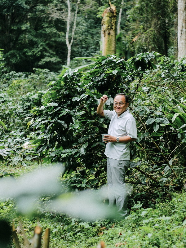 coffee farm tour chiang mai, chiang mai coffee farm, chiang mai coffee farm tour