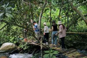 coffee farm tour chiang mai, chiang mai coffee farm, chiang mai coffee farm tour