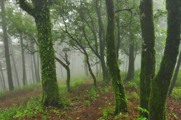 chae son national park, chaeson national park, chae son, chaeson, chae son forest park, chaeson forest park