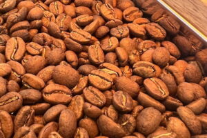 chiang mai coffee farm tour, coffee farm tour in chiang mai, chiangmai coffee farm tour, tour coffee farm chiang mai