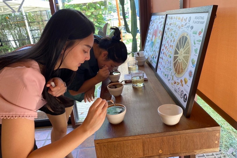 chiang mai coffee farm tour, coffee farm tour in chiang mai, chiangmai coffee farm tour, tour coffee farm chiang mai