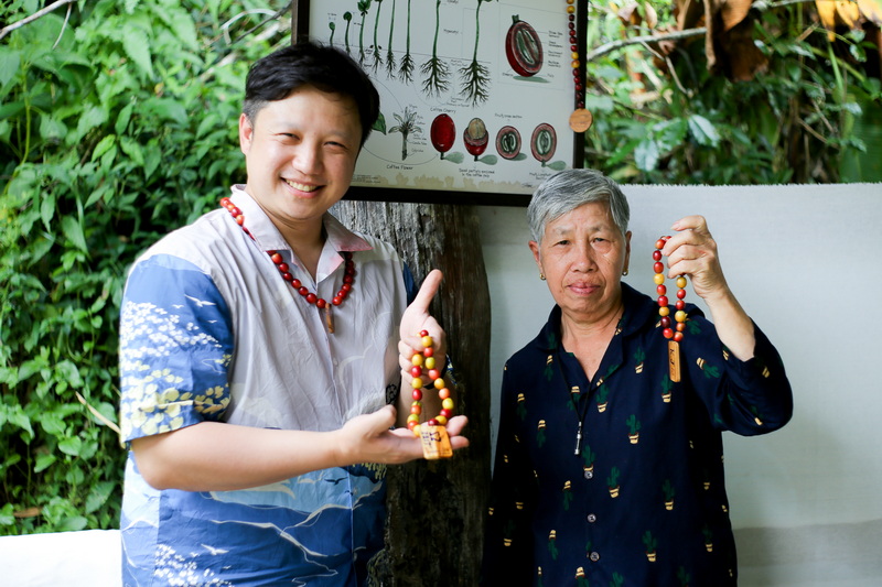 chiang mai coffee farm tour, coffee farm tour in chiang mai, chiangmai coffee farm tour, tour coffee farm chiang mai