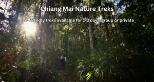 chiang mai guideline, chiang mai tours operator, chiang mai tour agency