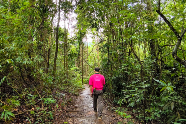 elephant observation and hiking doi inthanon, elephant observation and trekking doi inthanon, elephant observation and doi inthanon hike, elephant observation and doi inthanon trek, elephant surveying and doi inthanon hiking, doi inthanon hiking, doi inthanon trekking