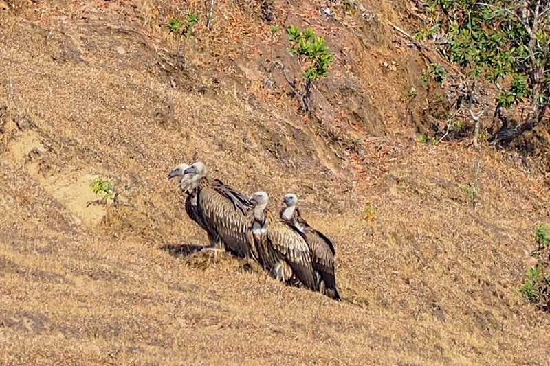 mae ngao national park, mae-ngao national park, mae ngao, mae-ngao