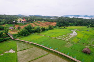 su tong pae bridge, su tong pae bamboo bridge, su tong pae, sutongpae bridge, sutongpae bamboo bridge