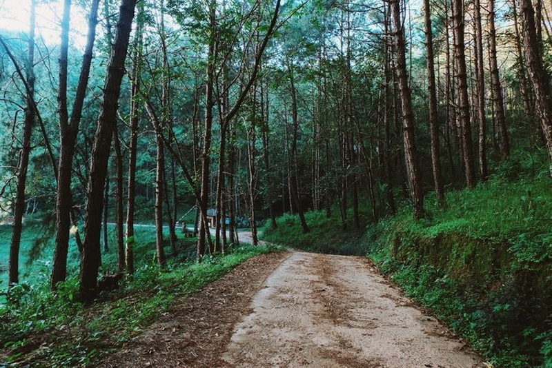 tham pla-namtok pha suea national park, tham pla - namtok pha suea national park, tham pla-namtok pha suea, tham pla - namtok pha suea