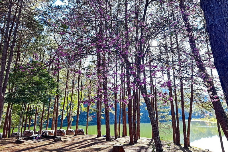 pang ung, pang oong, tham pla-namtok pha suea national park, tham pla - namtok pha suea national park, tham pla-namtok pha suea, tham pla - namtok pha suea