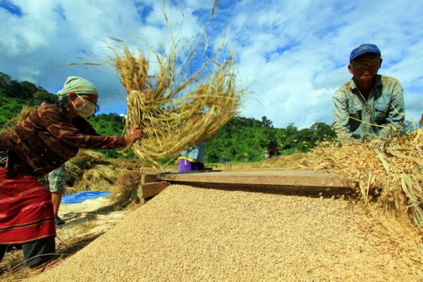 ban muang pam, ban muang pam village, muang pam village, ban muang pam mae hong son, ban muangpam, ban muang pam pang mapha, baan muang pam, ban muang paem