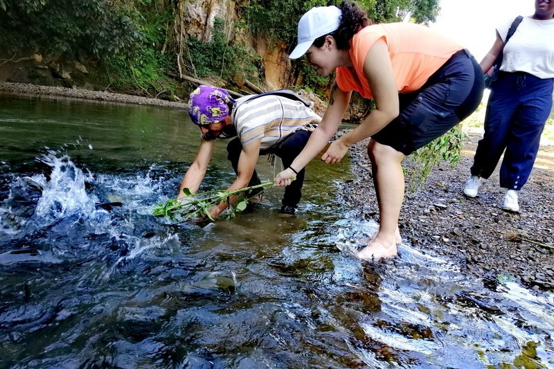 trekking at ban muang pam, ban muang pam day hike, ban muang pam trekking, ban muang pam adventure trek, hiking at ban muang pam, ban muang pam day trek, ban muang pam hike, ban muang pam trek