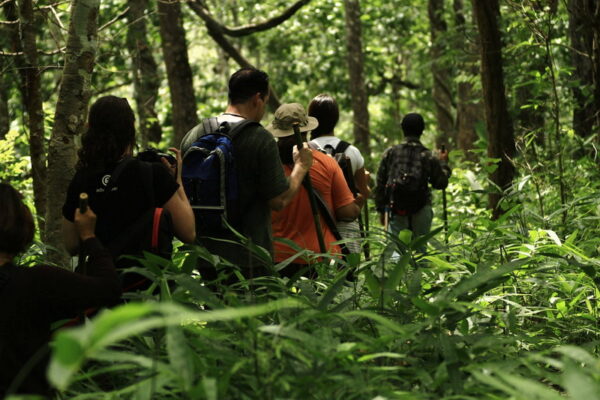 ban pha mon, ban pha mon village, pha mon village, ban pha mon mae hong son, ban phamon, ban pha mon mapha, ban huai pha mon, huai phamon, phamon village