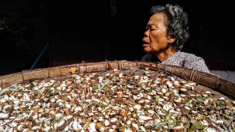 ban muang pon cultural day, ban muang pon heritage tour, muang pon village discovery, muang pon village life, ban muang pon traditions revealed, ban muang pon local wisdom, ban muang pon experience tour, ban muang pon cultural journey