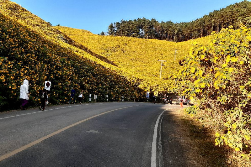 Bua Tong Fields, doi mae u-kho