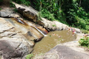 morpaeng waterfall, morpang waterfall, mor paeng waterfall, mor pang waterfall