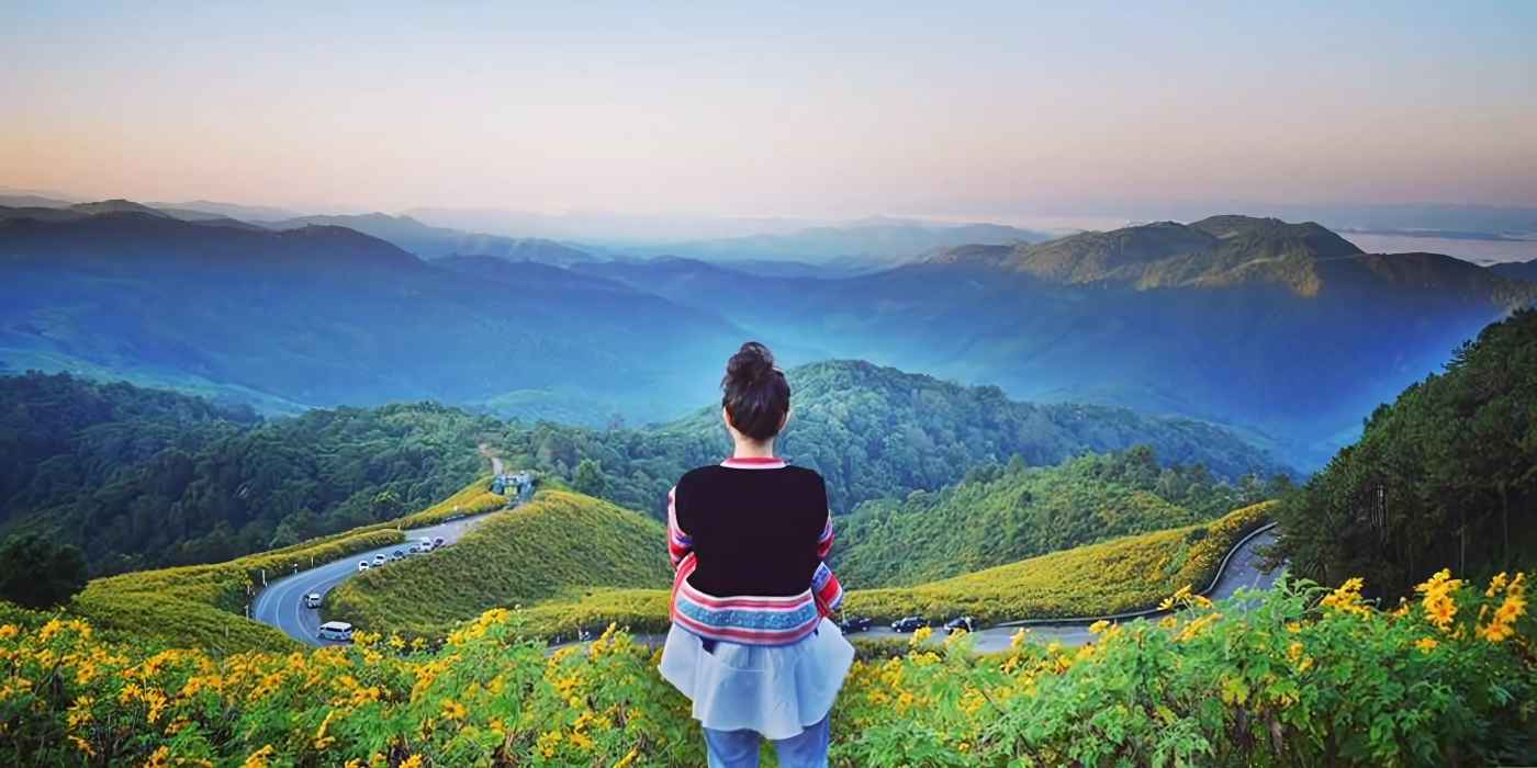 thung bua tong fields at doi mae u kho, bua tong fields doi mae u kho, bua tong fields at doi mae u kho, mexican sunflowers at doi mae u kho, doi mae u kho mexican sunflowers, doi mae u kho, doi mae u kho, thung dok bua tong at doi mae u-kho
