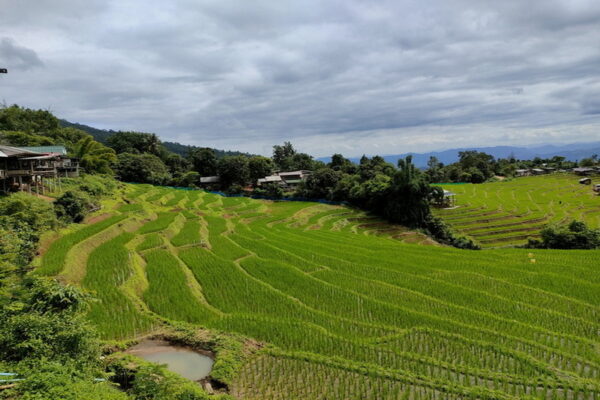 mae jam, mae chaem, mae chaem district, mae jam district