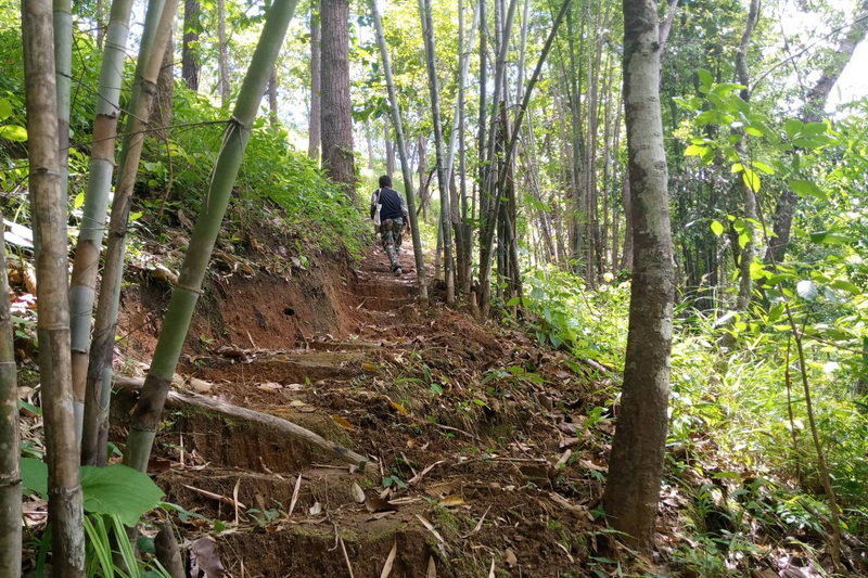 mae sakut nature trail, namtok mae surin national park, mae surin national park, namtok mae surin, namtok mae surin forest park