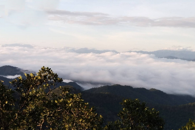 salawin national park, salawin, salawin forest park