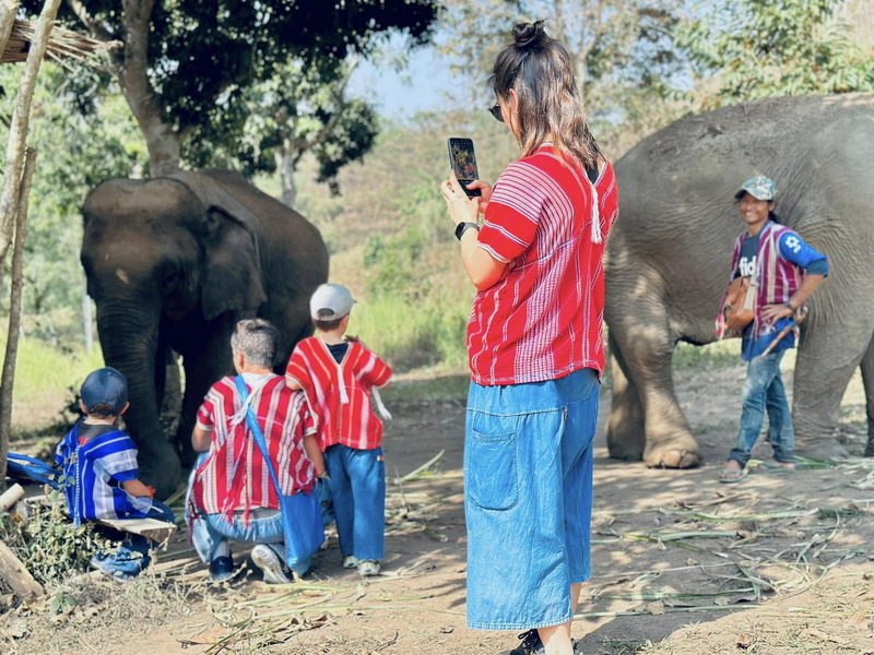 Elephant Family Chiang Rai, half day elephant chiang rai, elephant sanctuary chiang rai, karen ruammit elephant camp, chiang rai elephant bathing tour, elephant experience chiang rai, ethical elephant tour chiang rai, elephant feeding chiang rai, chiang rai elephant half day tour
