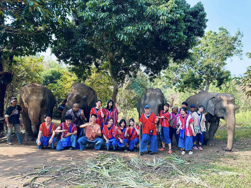 Elephant Family Chiang Rai, half day elephant chiang rai, elephant sanctuary chiang rai, karen ruammit elephant camp, chiang rai elephant bathing tour, elephant experience chiang rai, ethical elephant tour chiang rai, elephant feeding chiang rai, chiang rai elephant half day tour