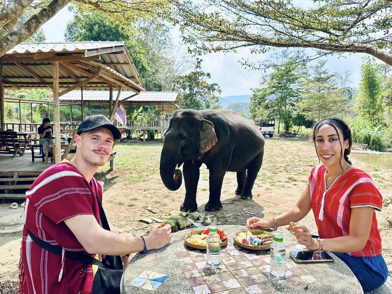 Elephant Family Chiang Rai, half day elephant chiang rai, elephant sanctuary chiang rai, karen ruammit elephant camp, chiang rai elephant bathing tour, elephant experience chiang rai, ethical elephant tour chiang rai, elephant feeding chiang rai, chiang rai elephant half day tour