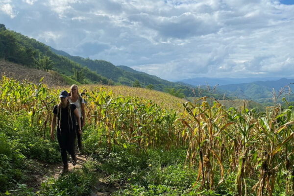 chiang rai day trek, trekking in chiang rai, one day trek chiang rai, chiang rai hiking, hiking in chiang rai, chiang rai trek one day, 1 day trek chiang rai, 1 day trekking in chiang rai, trekking adventure in chiang rai