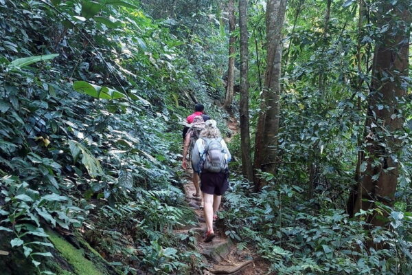 chiang rai 2 days trek, 2 days trekking in chiang rai, two days trek chiang rai, 2 days chiang rai hiking, 2 days hiking in chiang rai, chiang rai trek two day, 2 days trek chiang rai, 2 days trekking in chiang rai, 2 days trekking adventure in chiang rai