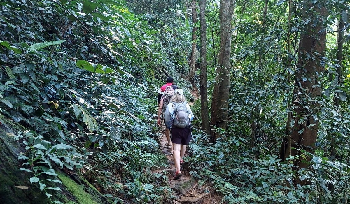 chiang rai 2 days trek, 2 days trekking in chiang rai, two days trek chiang rai, 2 days chiang rai hiking, 2 days hiking in chiang rai, chiang rai trek two day, 2 days trek chiang rai, 2 days trekking in chiang rai, 2 days trekking adventure in chiang rai