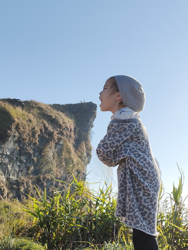 phu chi fa, phu chi fa forest park, phu chi fa national park, phu chi fah, phu chi fah forest park, phu chi fah national park