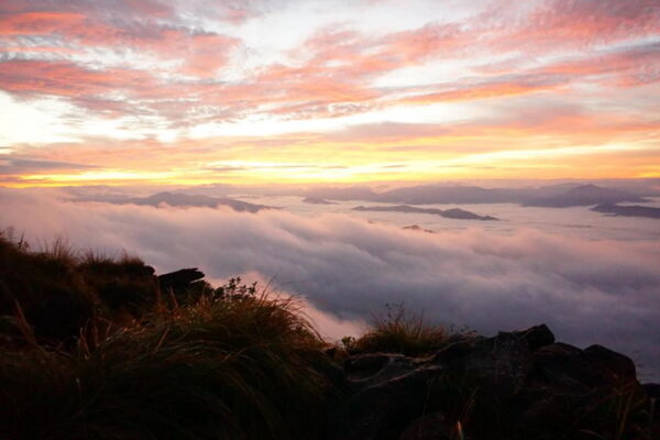 phu chi fa, phu chi fa forest park, phu chi fa national park, phu chi fah, phu chi fah forest park, phu chi fah national park